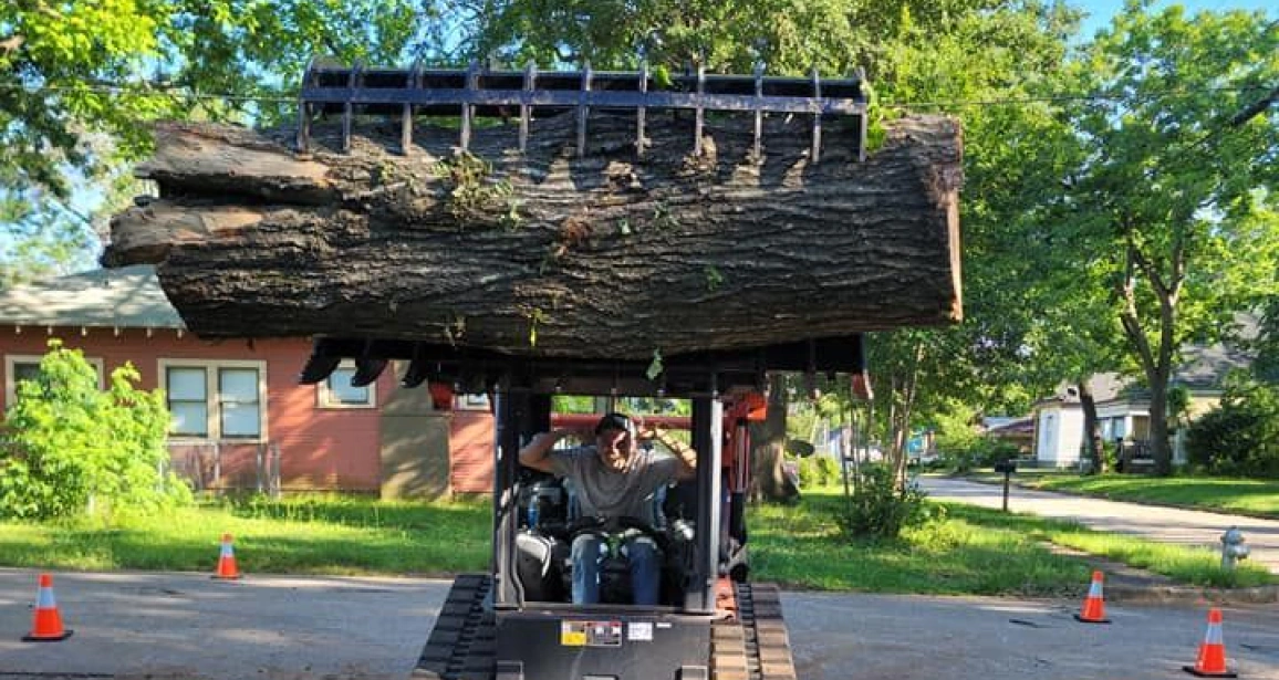 Land Clearing Services