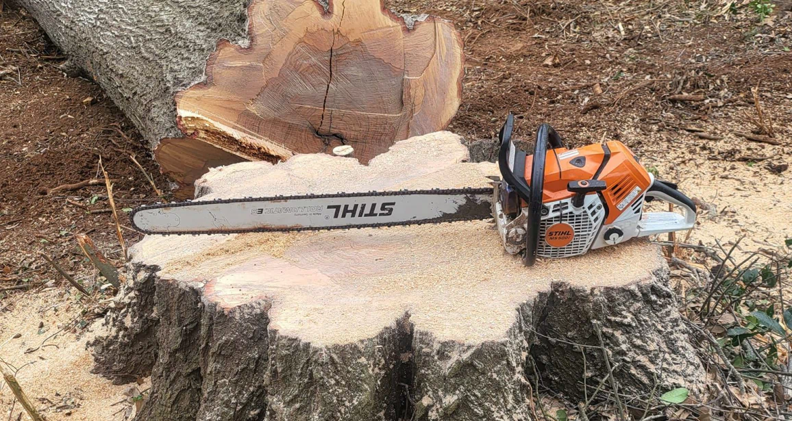 Stump Grinding Service