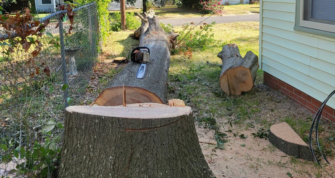 Tree Removal