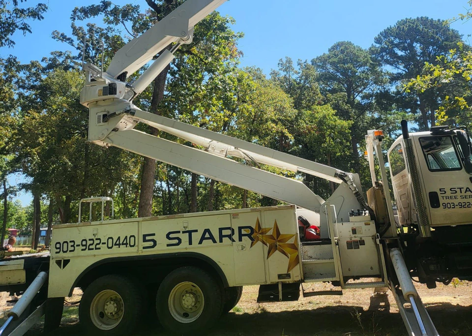 Tree Service (1)