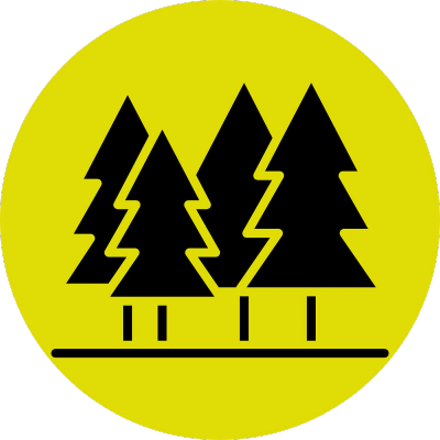 icon (4)